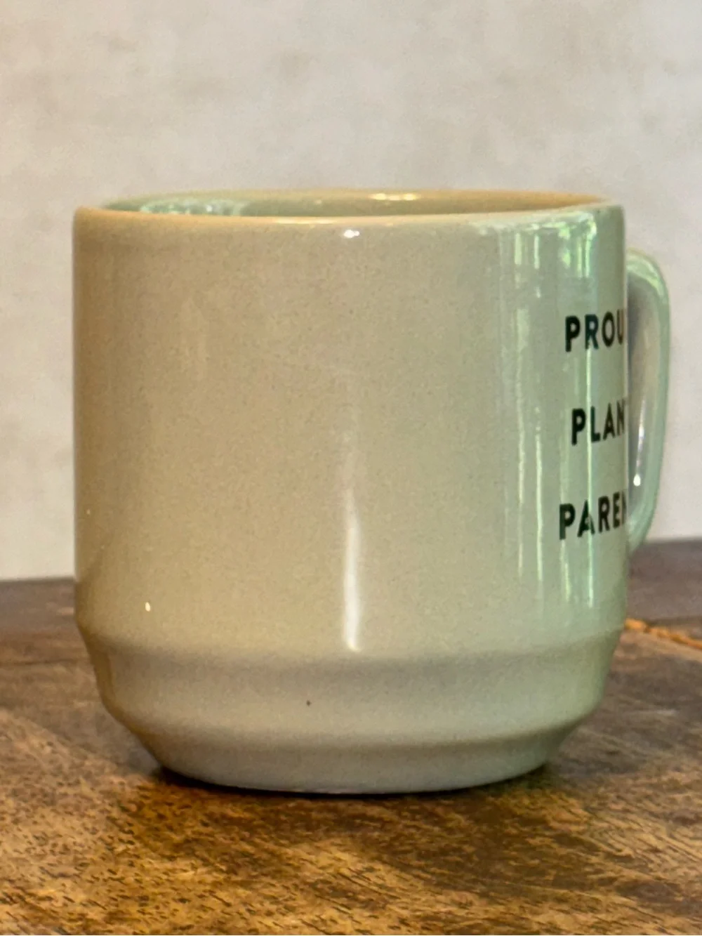 Proud Plant Parent Mug 3D Succulent Inside Horizon Group Green Earthenware